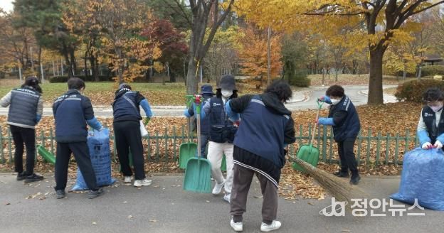 수원시 영통구 영통2동, 덕영대로 일대 낙엽 대청소 실시