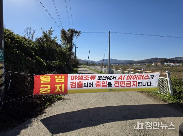 천안시가 철새 분변 AI 검출지점 철새도래지 진입로를 차단하였다.