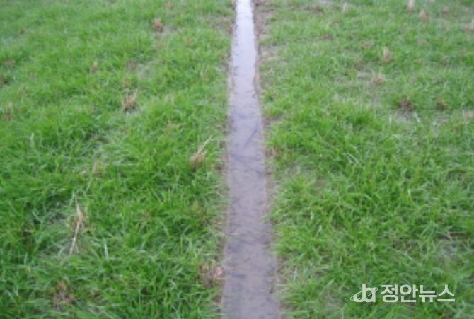 배수로가 정비된 재배지