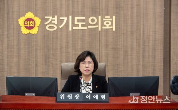 경기도의회 이애형 의원