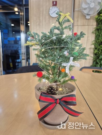 거제식물원, 12월 가드닝데이 '크리스마스 트리 만들기' 운영