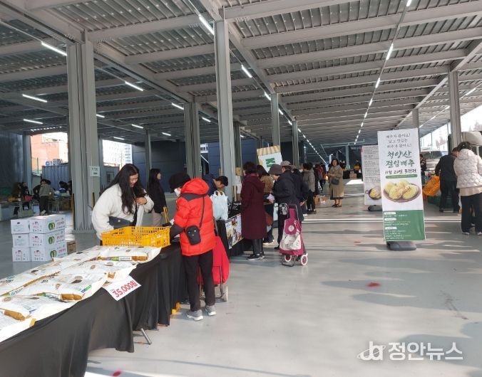 울 신도림 싱싱 직거래 목요장터 김장 특판