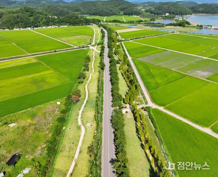 진교 파크골프장