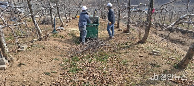 영농부산물 파쇄단이 영농부산물 파쇄 작업을 하고 있다