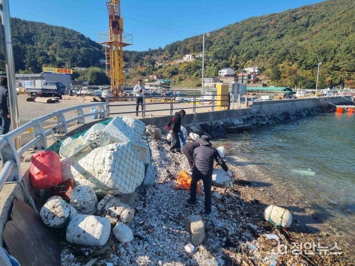 도시과, 미수동 해안변 환경정비활동