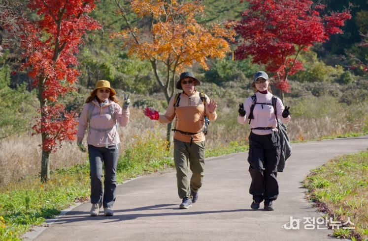 가을 단풍과 함께 한 남해바래길 11월‘작은 소풍’