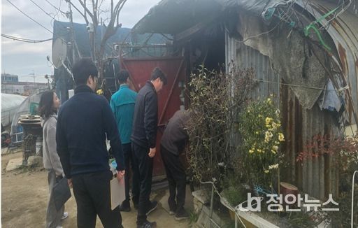 합동점검 사진(주거용 비닐하우스, 2025년 2월)