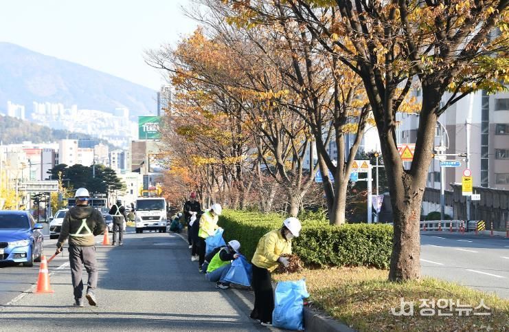 부산 동래구, 제35차 동래구민 청소하는 날 맞아 만덕터널 입구 중앙화단 등 집중 정비 실시