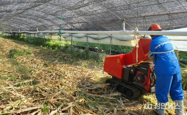 거제시 겨울철 산불 방지를 위한 영농부산물 안전처리 지원