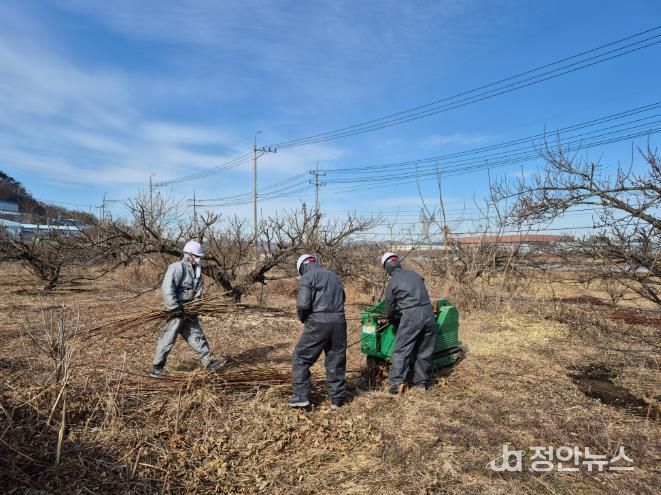 사천시, 영농부산물 파쇄 지원으로 겨울철 산불 예방 강화