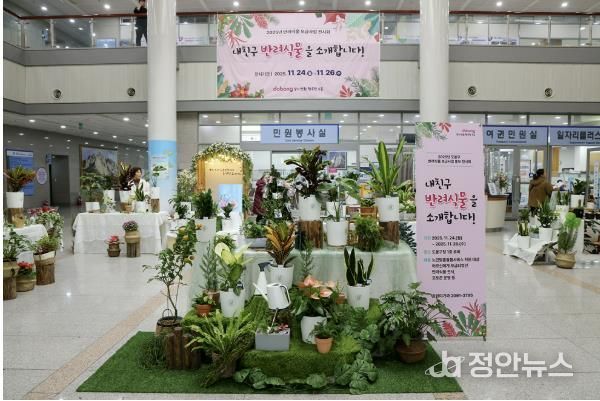 2025년 반려식물 전시회 개최 사진