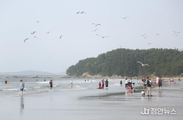 서천군 춘장대해수욕장, ‘올해의 우수해수욕장’ 선정