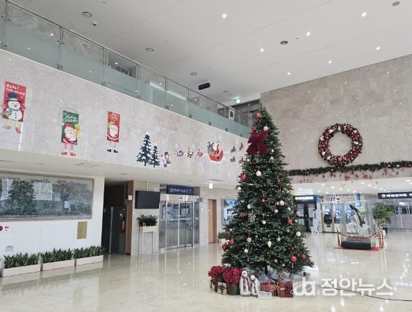 예산군청사 크리스마스 트리 모습