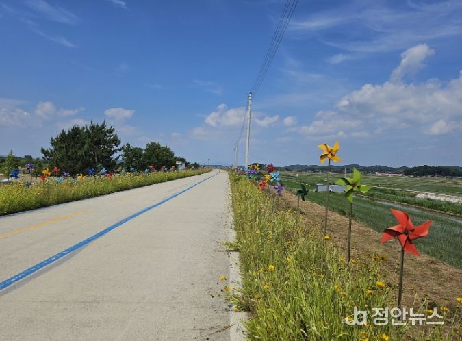 자전거 이용 활성화 유공으로 '행정안전부 장관상' 수상
