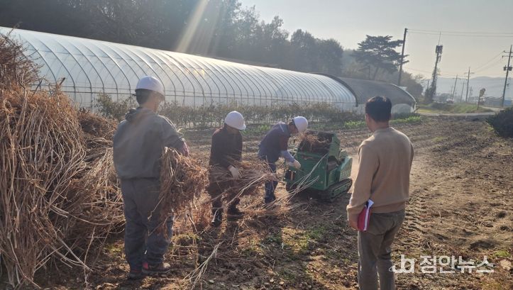 충남도, 영농부산물 연말까지 집중 파쇄 지원