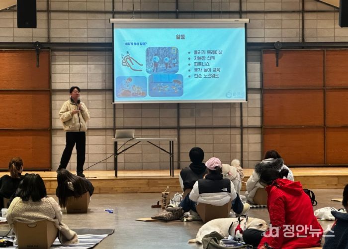 댕댕 힐링클래스 진행 모습