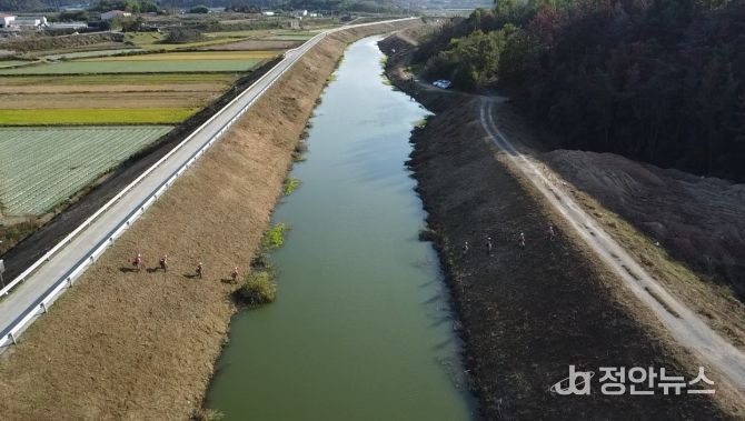 창녕천 하천제방 정비 전경