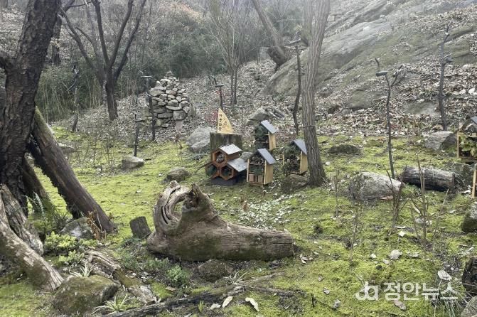 서대문구 안산(鞍山) 쉬나무 쉼터 일대 ‘이끼숲’에 조성된 일명 ‘곤충마을’