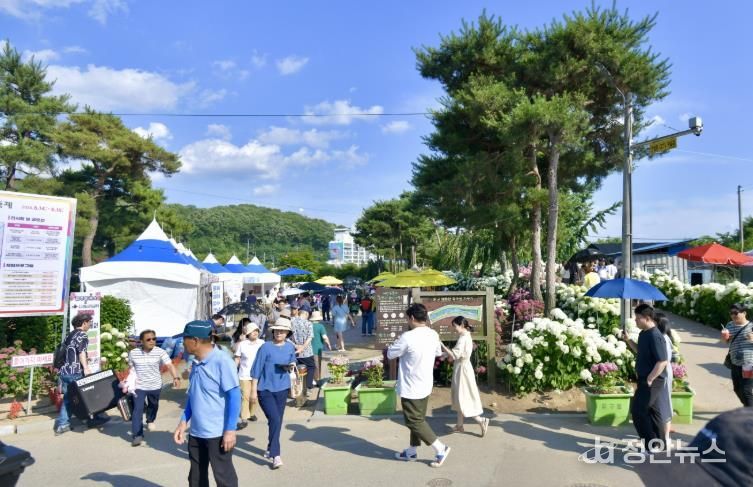 생활인구 자료사진__공주 유구색동수국정원 꽃 축제