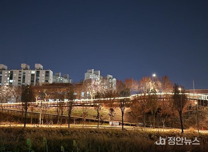 도림천에 설치된 보행 데크 및 전망대 전경