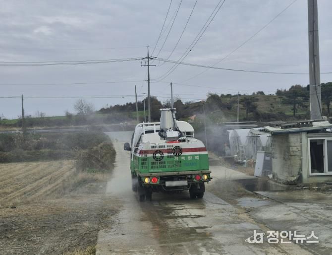 음성군, 겨울철 고병원성 AI 차단 총력