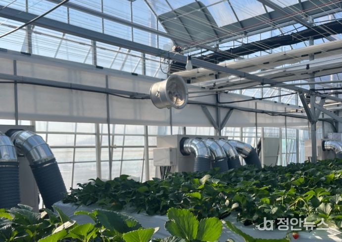 신재생에너지시설