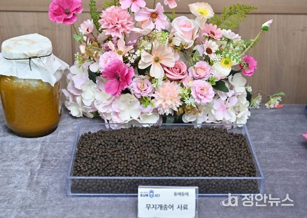 충북농기원, ‘항병원성 곤충사료’ 수산산업의 새로운 패러다임 제시