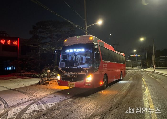 202번 버스를 대체 운행 중인 전세버스