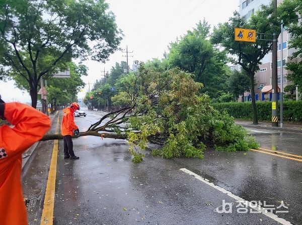 전북소방, 2025년 구조·생활안전 활동 분석 현장 중심 대응역량 강화
