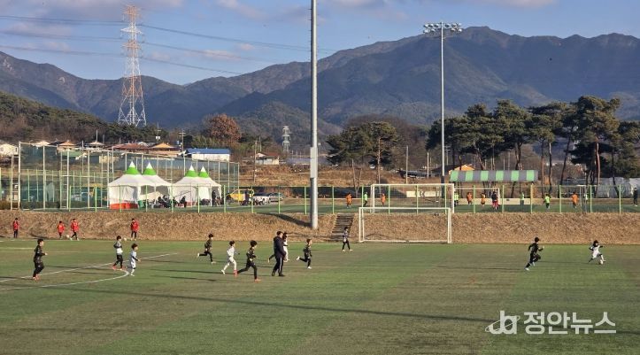 동계 전지훈련 최적지로 지역경제 활력