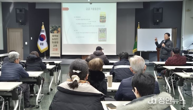 감귤 겨울철 관리 교육