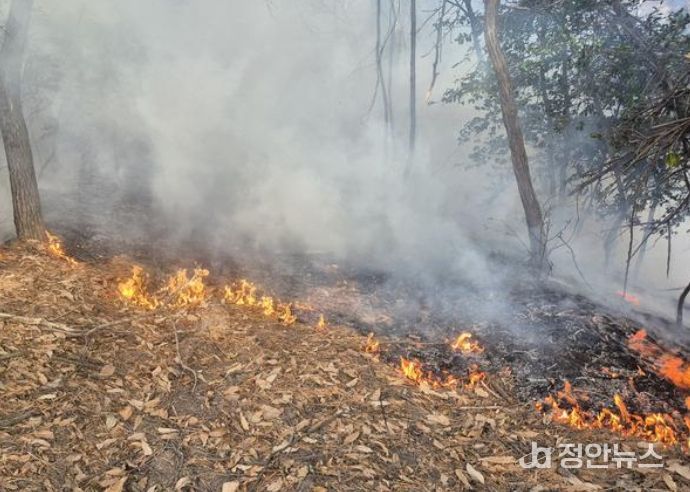 고성군 금남면 대치리 산불(2026년 1월 20일)