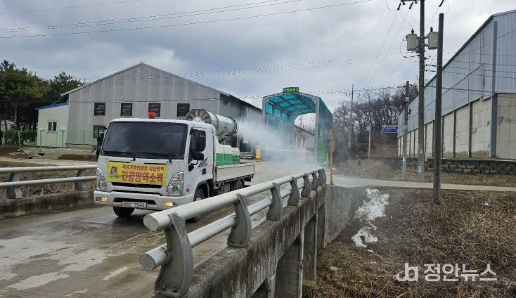 260126 안성시 축산농가 소독