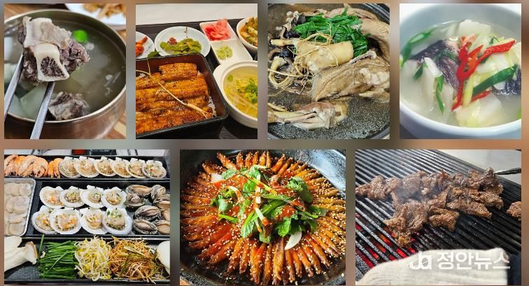 시계방향으로 홍성 갈비탕, 부여 장어덮밥, 금산 삼계탕, 서산·태안 우럭젓국, 예산 한우구이, 금산 도리뱅뱅이, 보령 키조개삼합