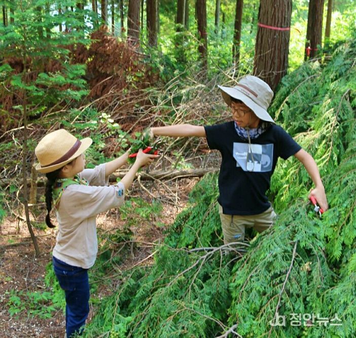 사천편백림, ‘경상남도 사회공헌자’ 인증 획득