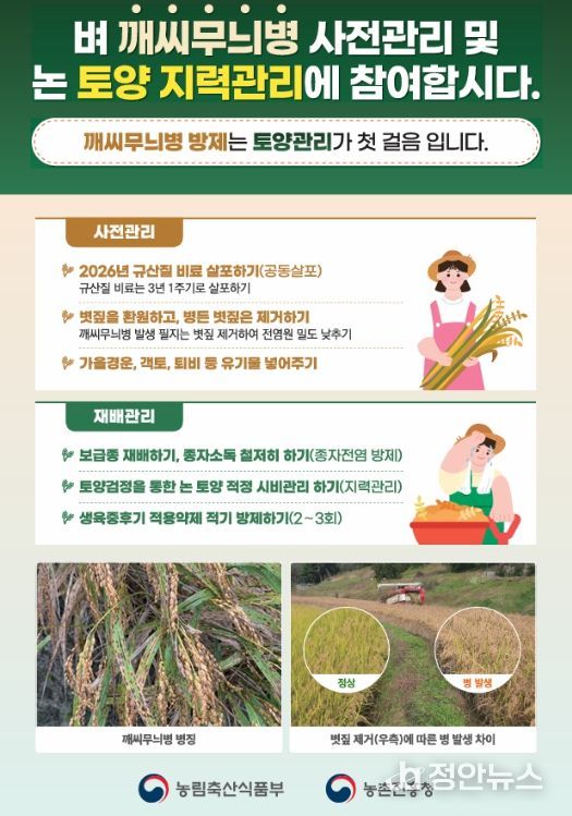 사천시, 벼 깨씨무늬병 예방 총력