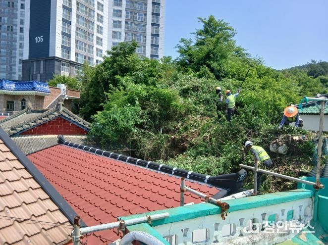 고성군, 도시림 체계적 관리를 위한 녹지(수목)정비단 운영