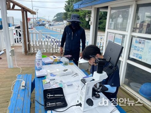 수자연, ‘2026 유해생물(기생충) 구제사업’ 참여 어가 모집