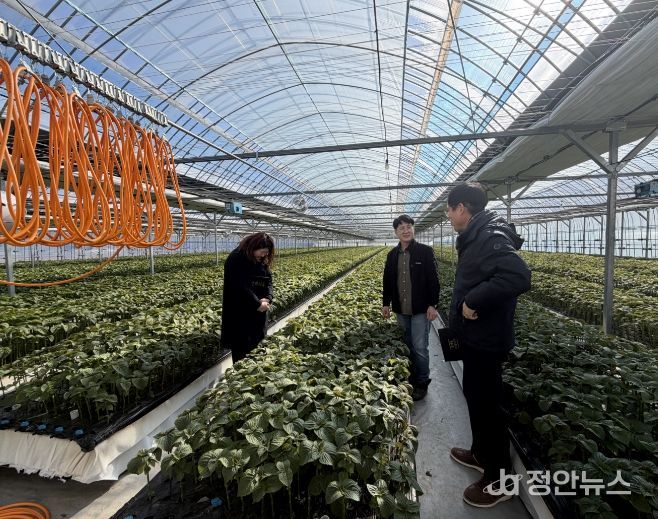 금산군 농촌자원분야 시범사업 대상자 선정 현지 심사 모습