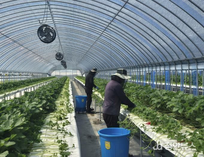 홍성군, 신규농업인 현장실습 교육 연수생 모집