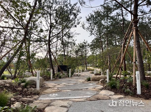 2025년 보라매 서울국제정원박람회에 아시아산림협력기구에서 조성한 정원 ‘The Spring Grove’