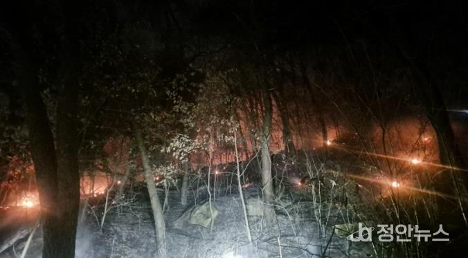 산불 발생 사진