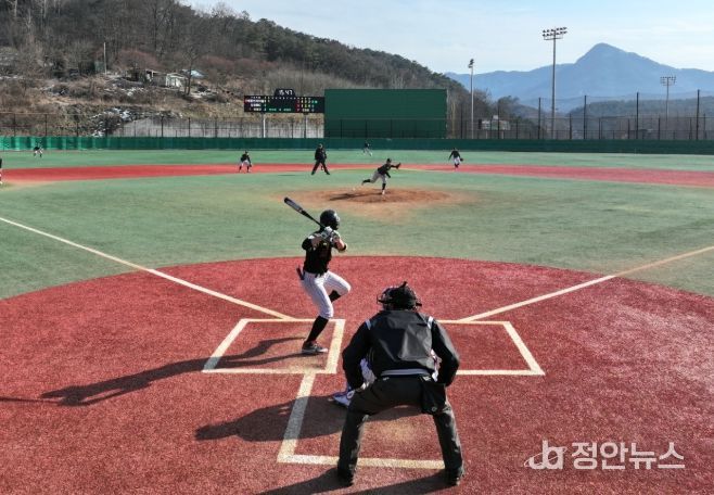 제11회 순창배 전국 유소년 야구대회 성료, 역대 최대규모 기록