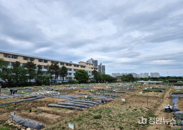 구리시, 「2026년 토평동 구리도시텃밭」운영
