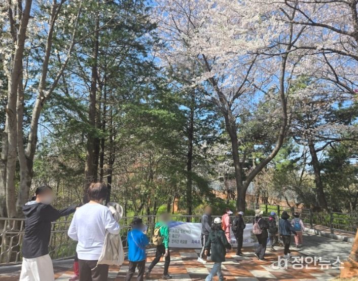 미추홀구, ‘수봉산 숲길 걷기 운동 교실’ 운영