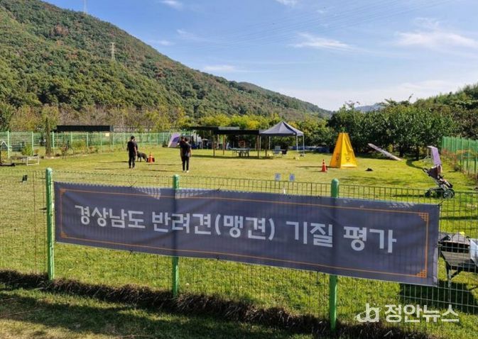 2026년도 맹견기질평가 장소