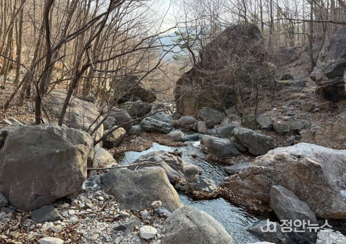 구만 계곡(밀양시 산내면 봉의리 산46번지 일원)