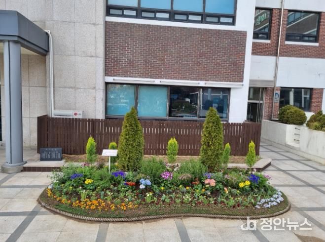 인천 서구, 봄맞이 청사 환경정비 및 초화 식재... 겨울을 지나 봄으로