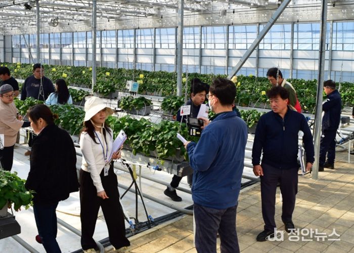 스마트팜 실증 현장평가