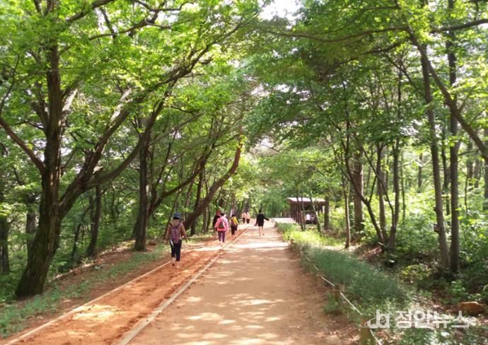 김해시 분성산 생태숲 황톳길 개장